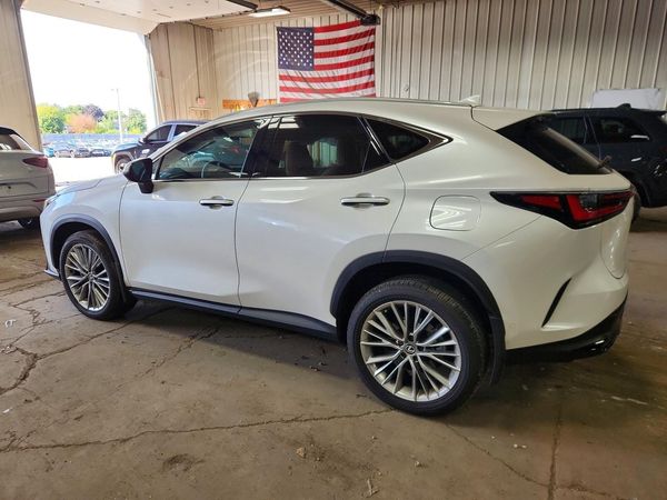 2025 LEXUS NX 350 Luxury
