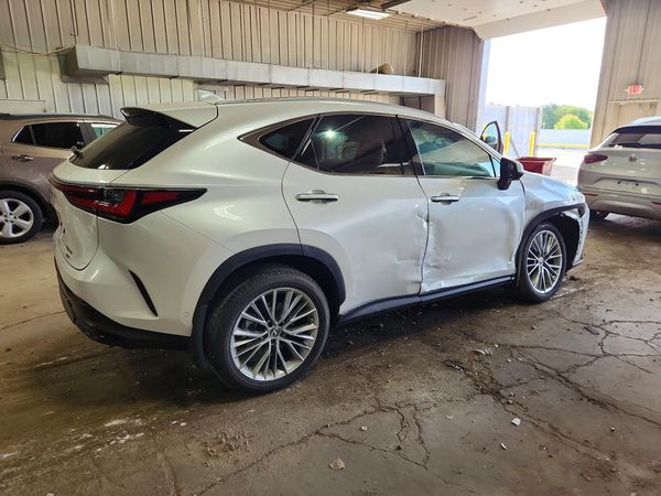 2025 LEXUS NX 350 Luxury