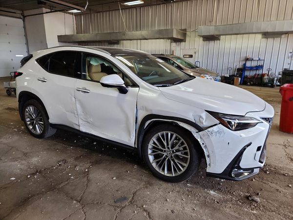 2025 LEXUS NX 350 Luxury