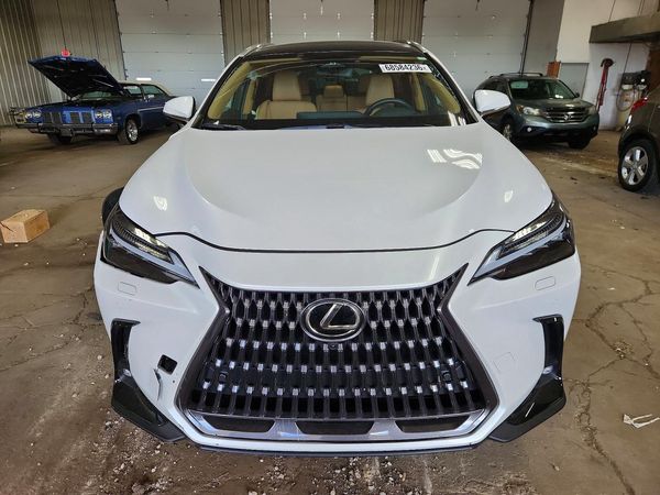 2025 LEXUS NX 350 Luxury