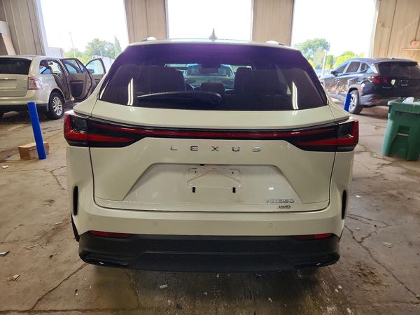 2025 LEXUS NX 350 Luxury
