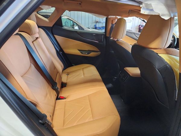 2025 LEXUS NX 350 Luxury