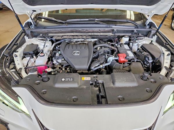 2025 LEXUS NX 350 Luxury