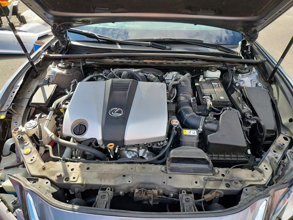 2019 LEXUS ES 350