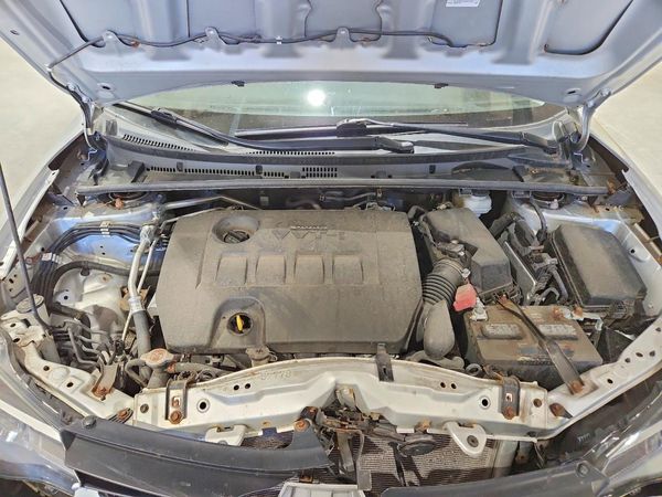 2019 TOYOTA COROLLA L/LE/SE/XLE/XSE