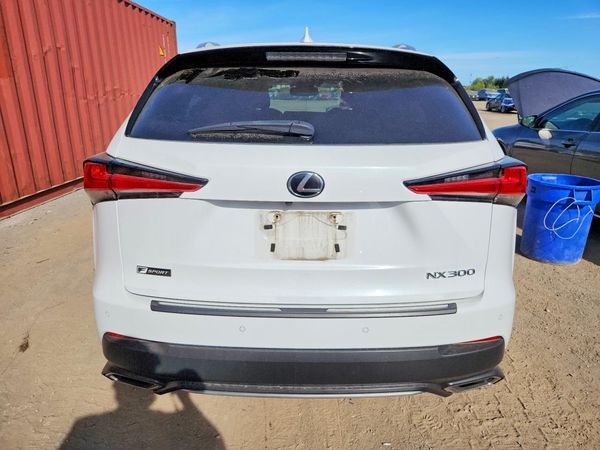 2018 LEXUS NX 300 Luxury — DIRR
