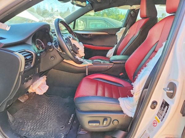 2018 LEXUS NX 300 Luxury — DENT
