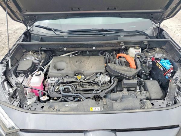 2025 TOYOTA RAV4 XSE