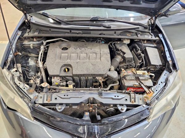 2019 TOYOTA COROLLA L/LE/SE/XLE/XSE