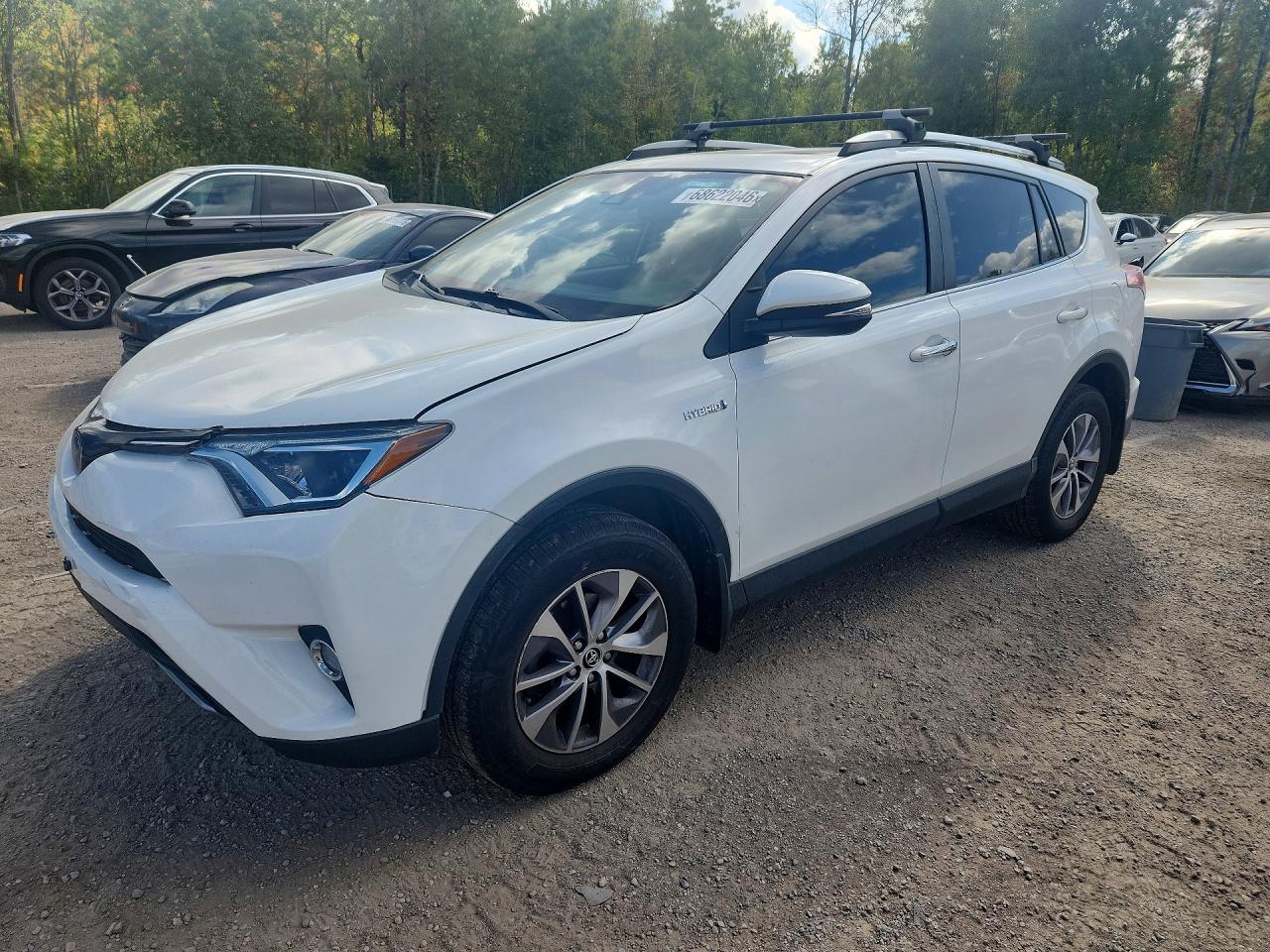 2018 TOYOTA RAV4 LE Plus/XLE
