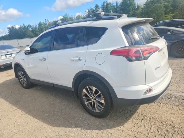 2018 TOYOTA RAV4 LE Plus/XLE