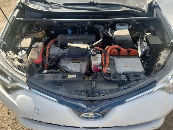 2018 TOYOTA RAV4 LE Plus/XLE