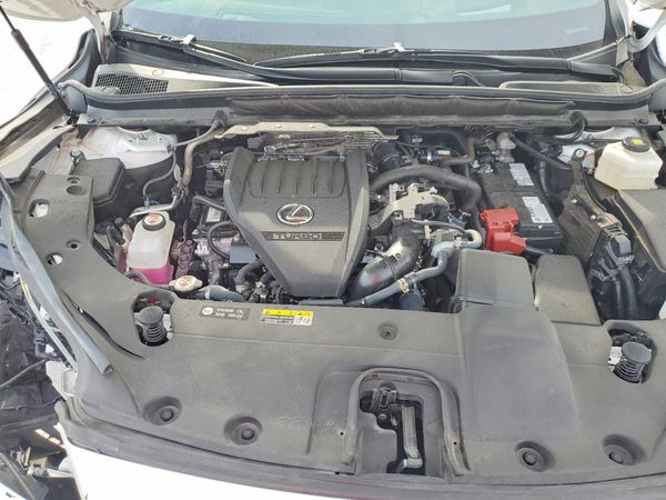 2024 LEXUS RX 350