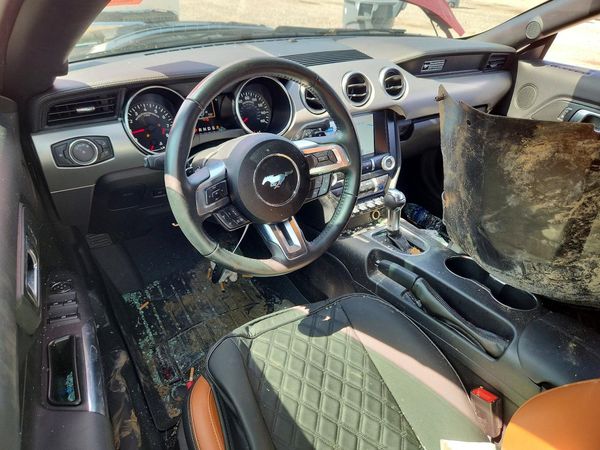 2020 FORD MUSTANG GT Convertible — CKPT