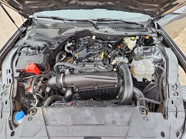 2025 FORD MUSTANG I4