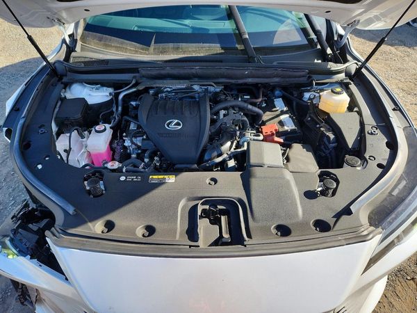 2024 LEXUS RX 350
