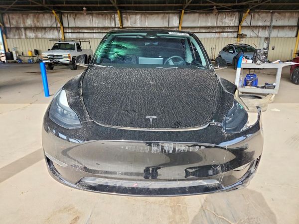 2024 TESLA MODEL Y — DIRF