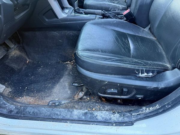 2019 DODGE CARAVAN Crew — DENT