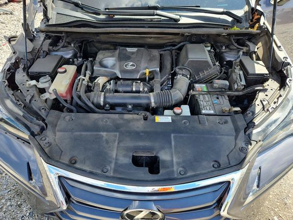2015 LEXUS NX 200t Luxury — Engine bay