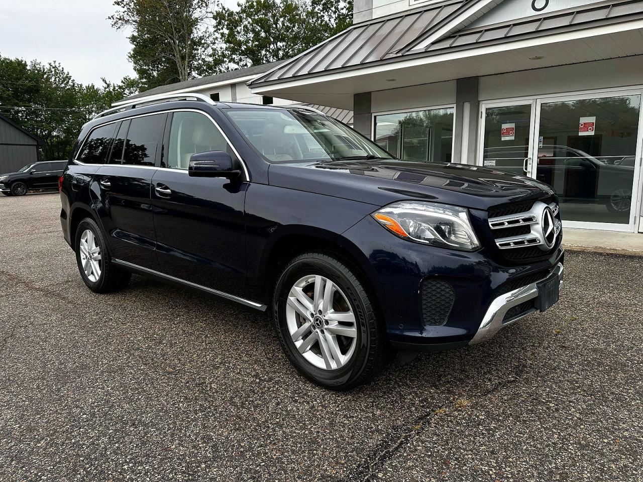 2019 MERCEDES-BENZ GLS GLS450-4M