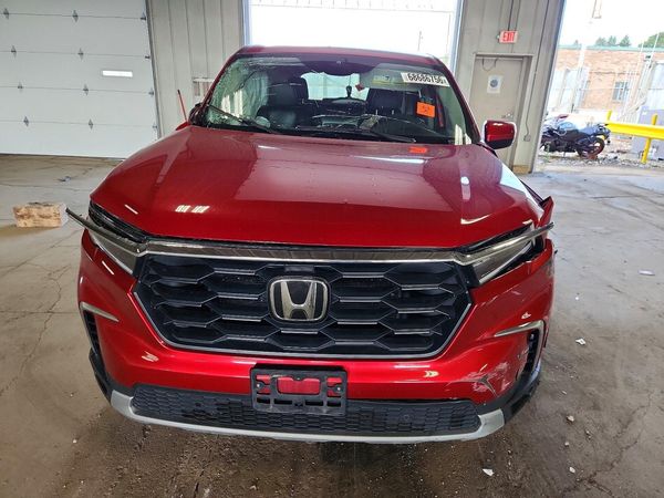 2025 HONDA PILOT EX-L, EX-L HPD — DIRF