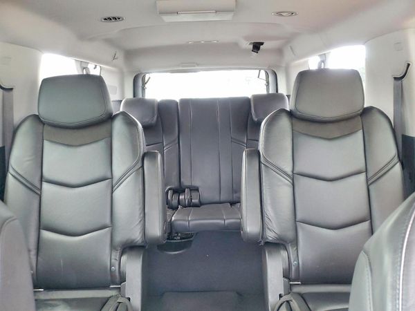 2019 CADILLAC ESCALADE — SUVN