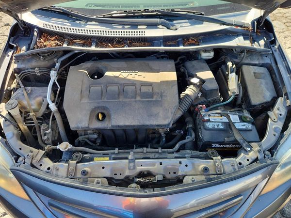 2013 TOYOTA COROLLA — Engine bay