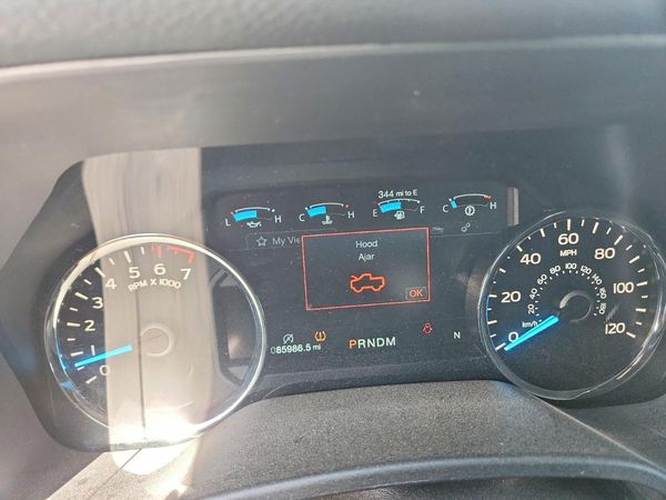 2019 FORD F150 — ODOM