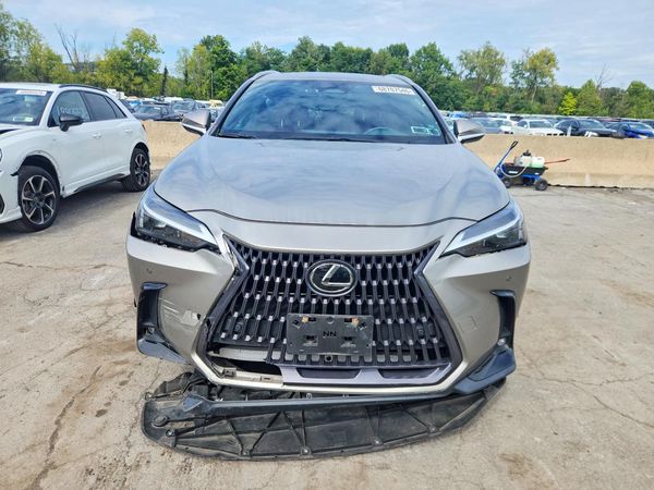 2023 LEXUS NX — DIRF