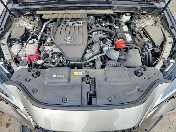 2023 LEXUS NX — Engine bay