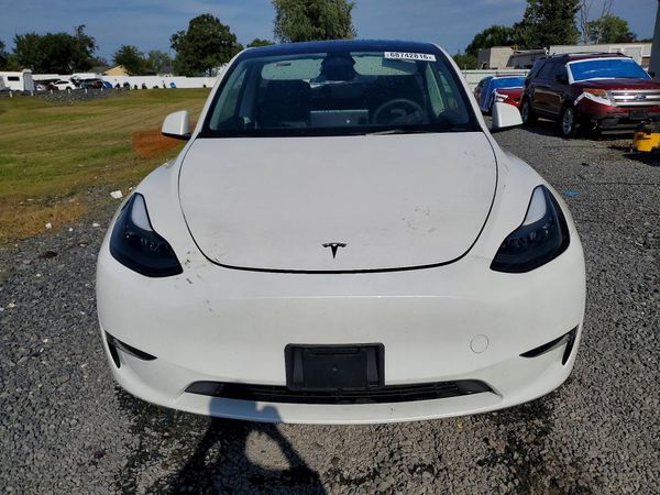 2024 TESLA MODEL Y — DIRF