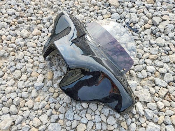 2020 HARLEY-DAVIDSON FLHCS — LOOS
