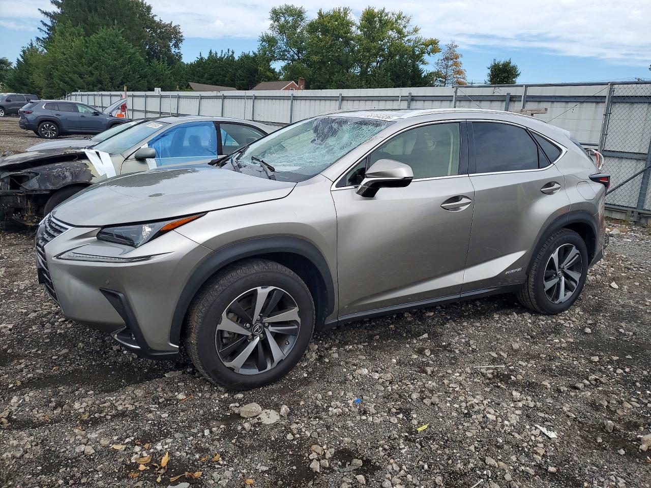 2020 LEXUS NX 300H Premium