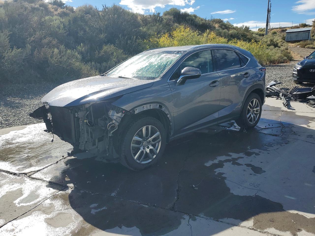 2015 LEXUS NX 200t Luxury