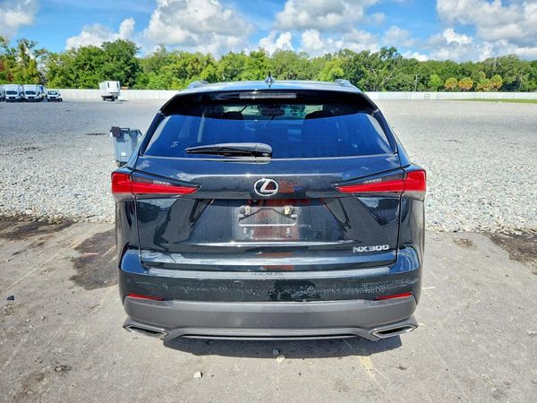 2019 LEXUS NX 300 — DIRR
