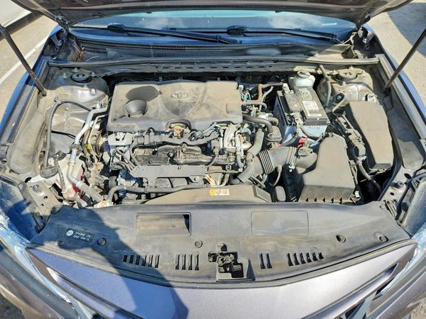 2019 TOYOTA CAMRY L/LE/SE/XLE