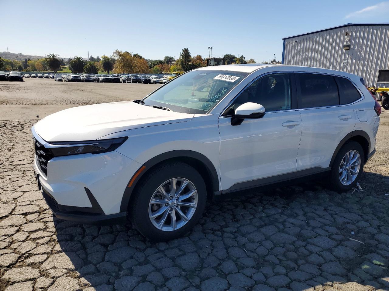 2024 HONDA CR-V EX