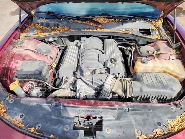 2022 DODGE CHARGER — Engine bay