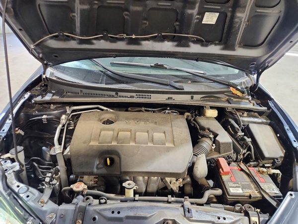 2019 TOYOTA COROLLA L/LE/SE/XLE/XSE