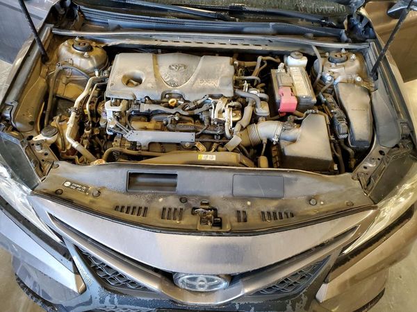 2019 TOYOTA CAMRY L/LE/SE/XLE — Engine bay