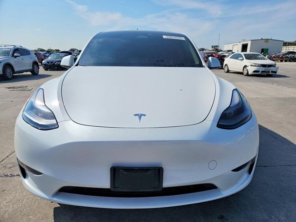 2024 TESLA MODEL Y — DIRF