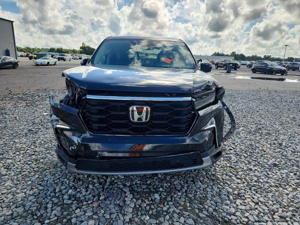 2024 HONDA PILOT EX-L — DIRF