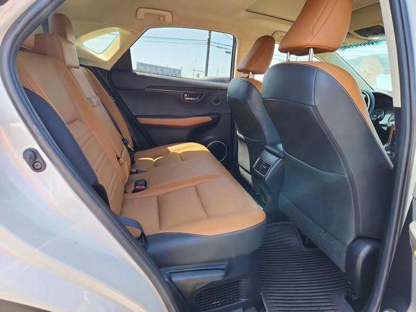 2018 LEXUS NX 300 300 Luxury