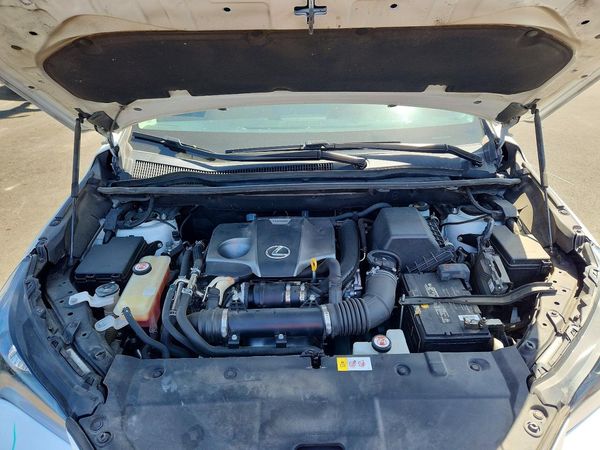 2018 LEXUS NX 300 300 Luxury