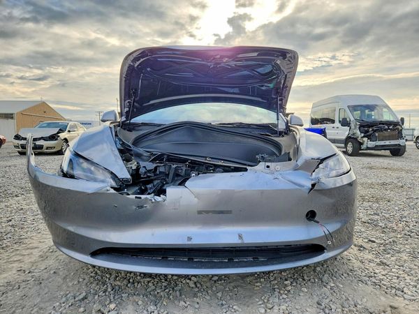 2025 TESLA MODEL 3 — DIRF