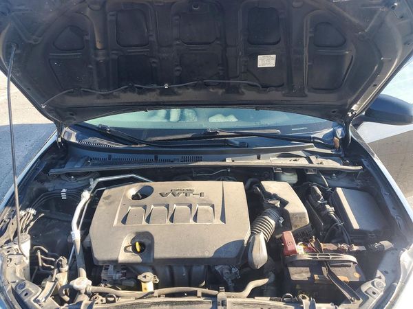 2019 TOYOTA COROLLA L/LE/SE/XLE/XSE