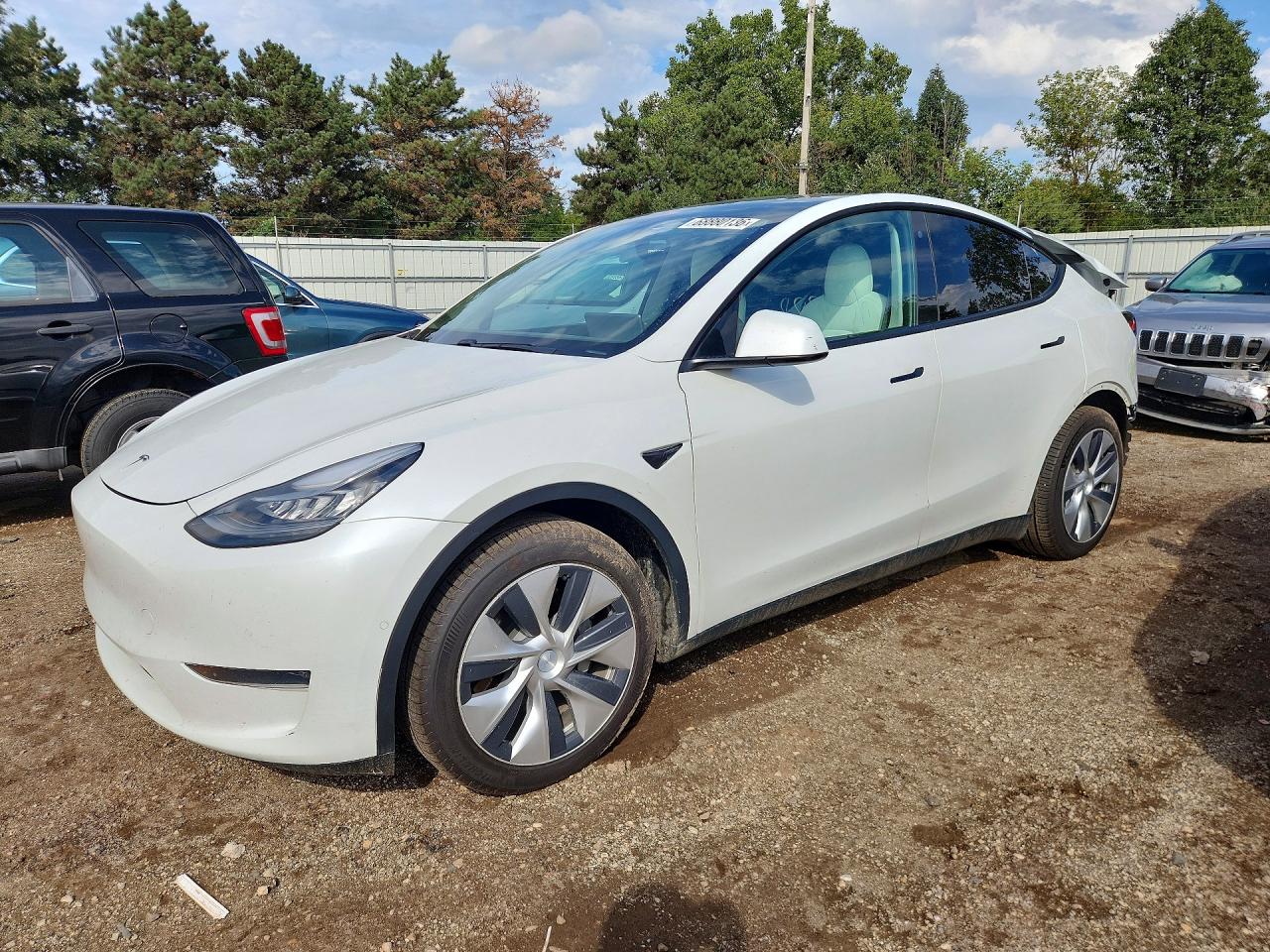 2020 TESLA MODEL Y