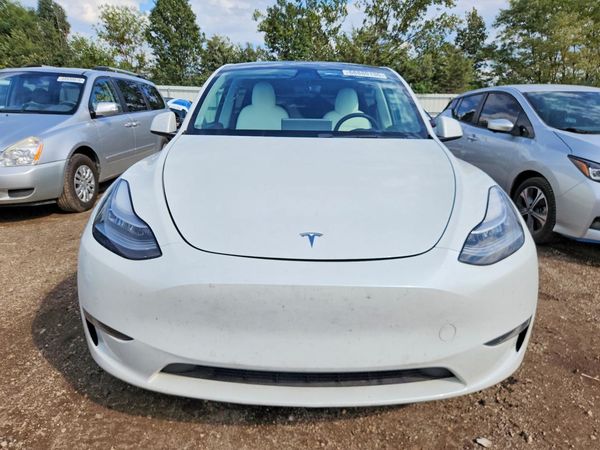 2020 TESLA MODEL Y