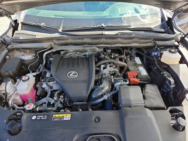 2023 LEXUS RX350 350 — Engine bay