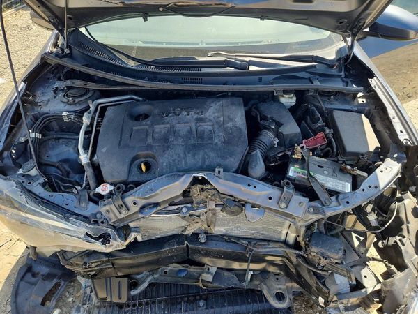 2019 TOYOTA COROLLA L/LE/SE/XLE/XSE